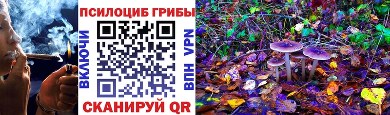 Галлюциногенные грибы Psilocybine cubensis  цена   Приморск 